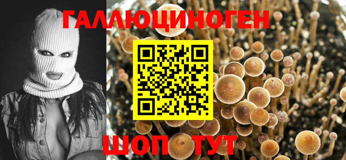Галлюциногенные грибы GOLDEN TEACHER Коркино