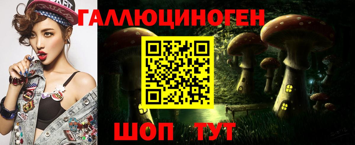 Псилоцибиновые грибы Psilocybe  Вход с VPN  Коркино  Галлюциногенные грибы Psilocybe 
